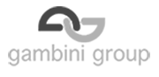 Gambini Group