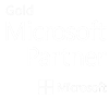 NETMIND partner Microsoft