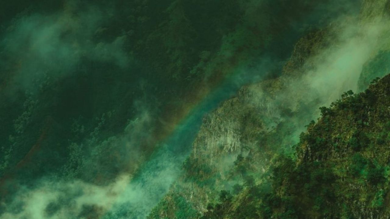 Oltre il carbonio: nel 2025 la sostenibilit&agrave; evolve in strategia ESG integrata, tra biodiversit&agrave;, giustizia sociale e governance per modelli di business davvero resilienti e competitivi.